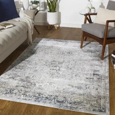 Norland 7'10" x 10' Rug