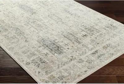 Alpharetta APH-2302 6'7" x 9' Machine Woven Rug