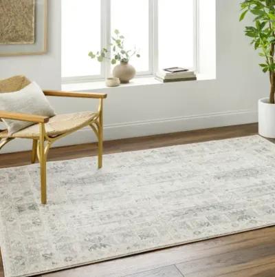 Alpharetta APH-2302 6'7" x 9' Machine Woven Rug