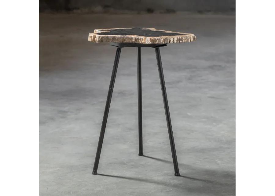 Mircea Petrified Wood Accent Table