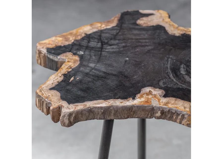 Mircea Petrified Wood Accent Table