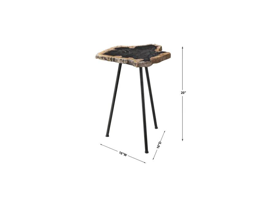 Mircea Petrified Wood Accent Table