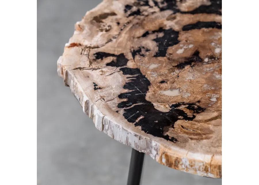 Mircea Petrified Wood Accent Table