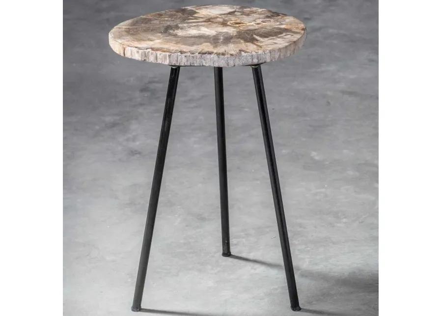 Mircea Petrified Wood Accent Table