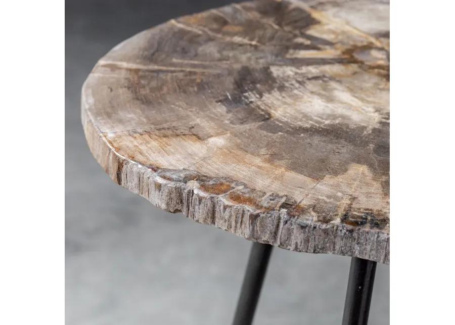 Mircea Petrified Wood Accent Table