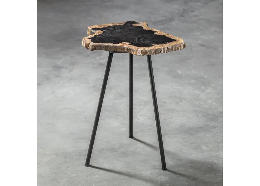 Mircea Petrified Wood Accent Table