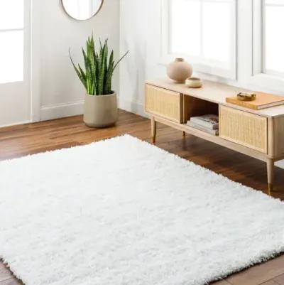 Bogota Shag BTG-2300 7'10" x 10' Machine Woven Rug