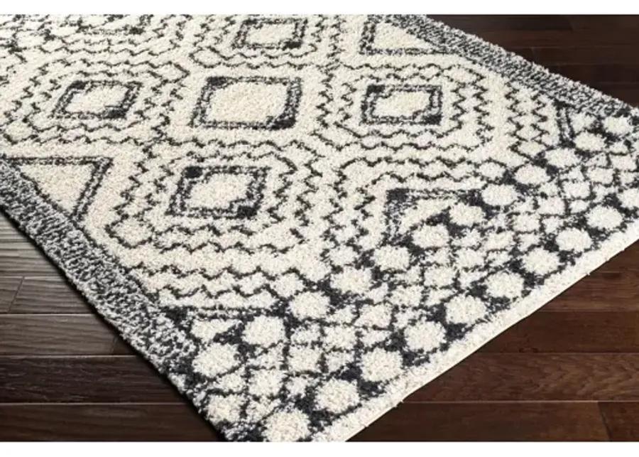 Beni shag BSH-2300 2'7" x 7'3" Rug