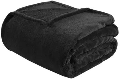 Intelligent Design Microlight Plush Black Oversized Blanket