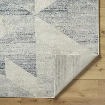 Alpharetta APH-2316 6'7" x 9' Machine Woven Rug