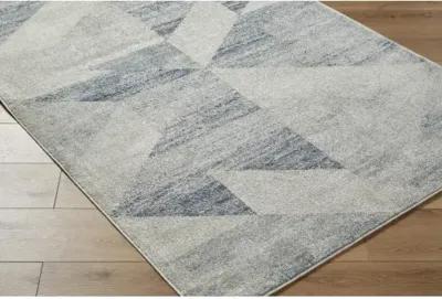 Alpharetta APH-2316 6'7" x 9' Machine Woven Rug