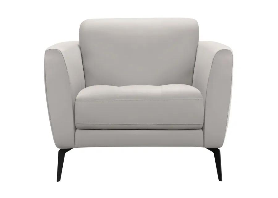 Hope Contemporary Chair in Genuine Dove Gray Leather with Black Metal Legs