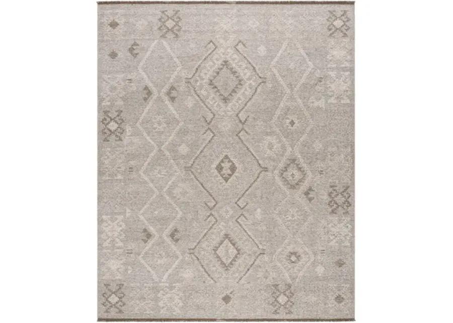 Tempe TPE-2300 8' x 10' Handmade Rug