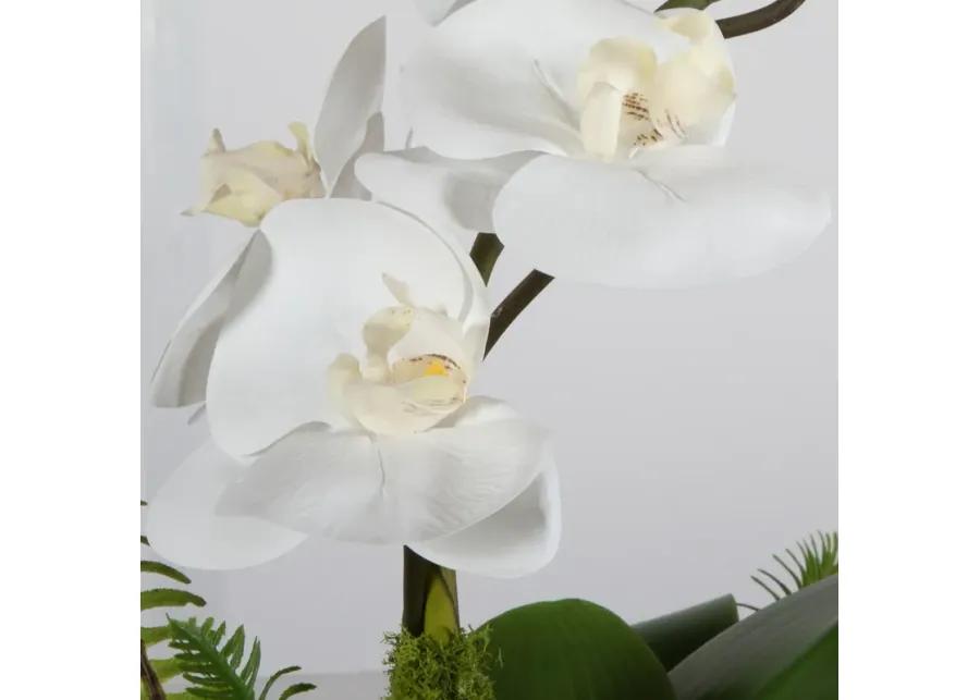 Transcend Orchid Centerpiece