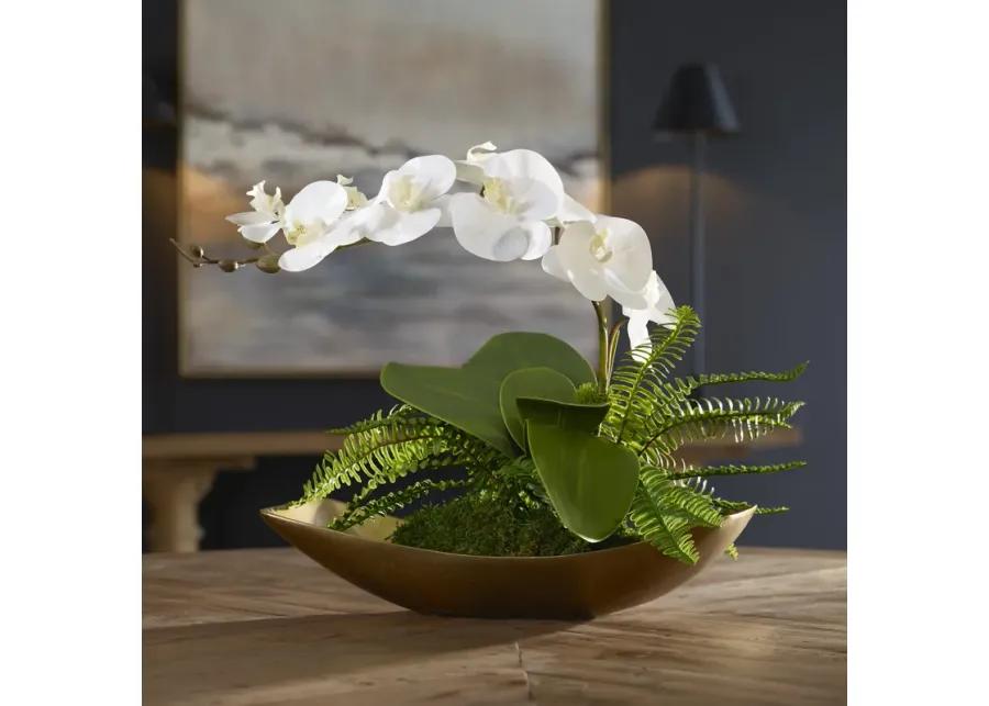 Transcend Orchid Centerpiece