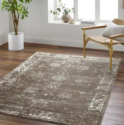 Monte Carlo MNC-2347 7'10" x 10'2" Machine Woven Rug