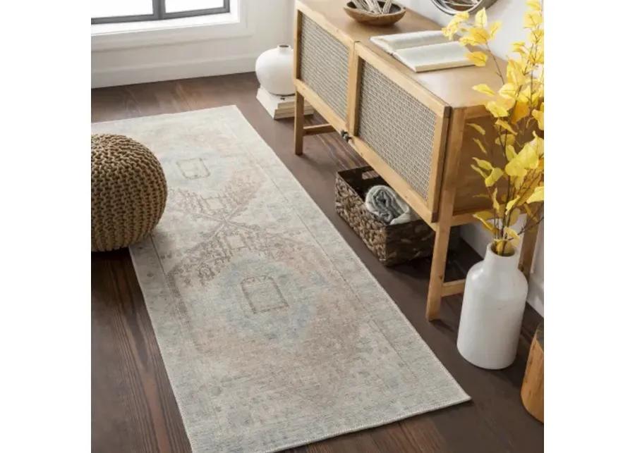 Alanya ALY-2306 2'7" x 7'3" Rug