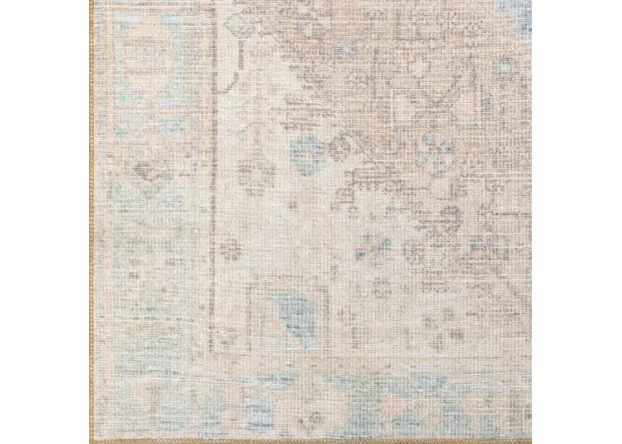 Alanya ALY-2306 2'7" x 7'3" Rug