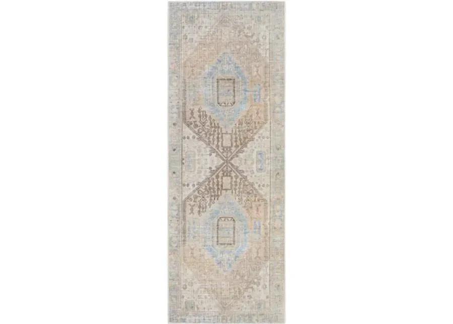 Alanya ALY-2306 2'7" x 7'3" Rug