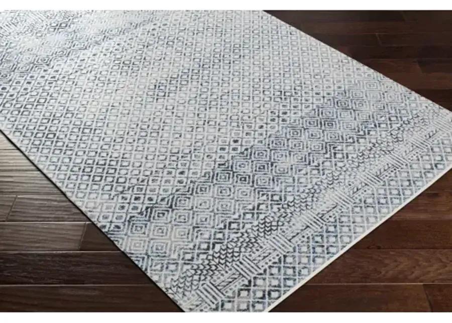 Lavadora LVR-2320 2'7" x 7'3" Rug