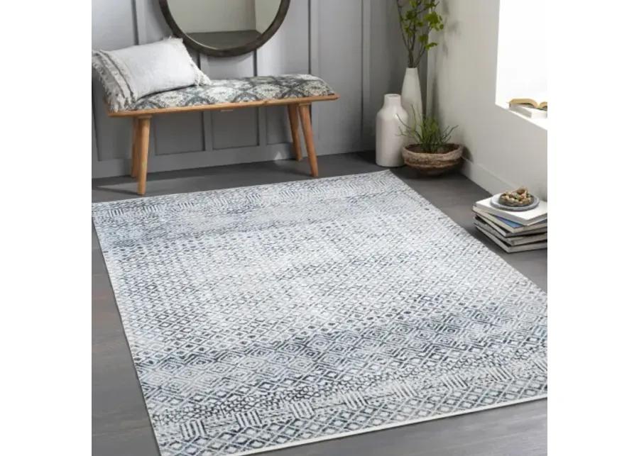 Lavadora LVR-2320 2'7" x 7'3" Rug