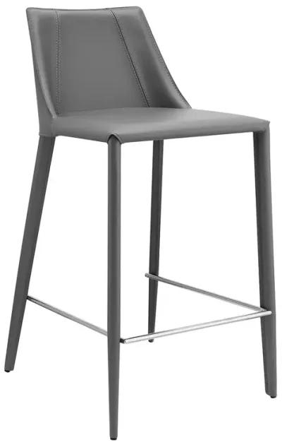 Kalle Counter Stool in Gray - Set of 1