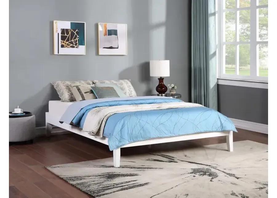 Hounslow Platform Queen Bed White