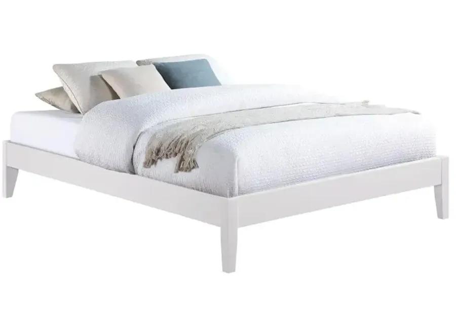 Hounslow Platform Queen Bed White