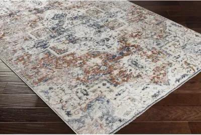 Amore AMO-2311 2'6" x 8' Rug