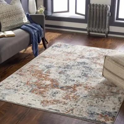 Amore AMO-2311 2'6" x 8' Rug