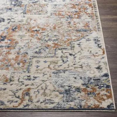 Amore AMO-2311 2'6" x 8' Rug