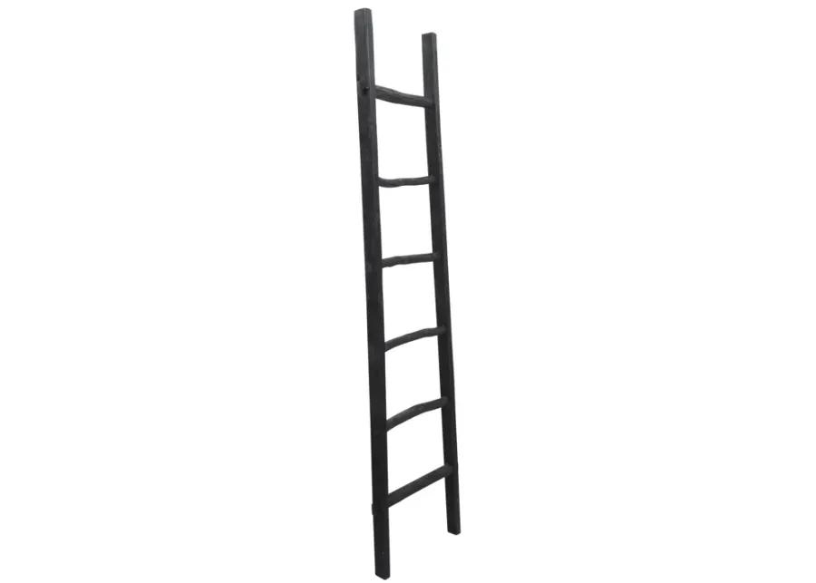 Decorative Ladder