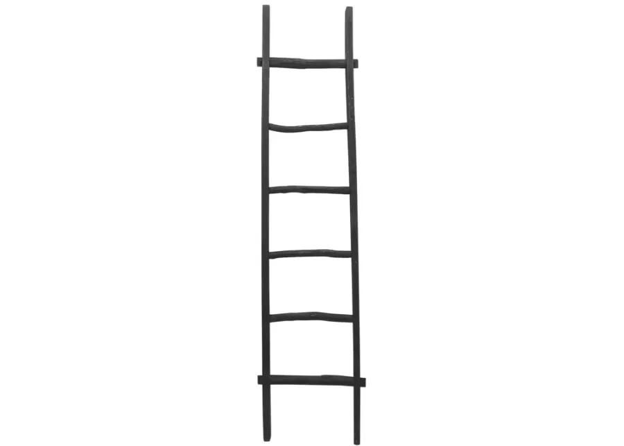 Decorative Ladder