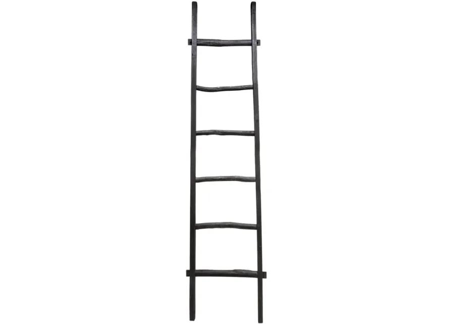 Decorative Ladder