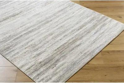 Mood MDD-2337 5'3" x 7' Machine Woven Rug