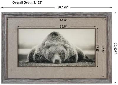 Deep Sleep Bear Print