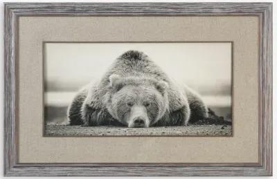 Deep Sleep Bear Print