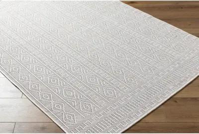 Terrace TRC-2310 9'2" x 12' Machine Woven Rug