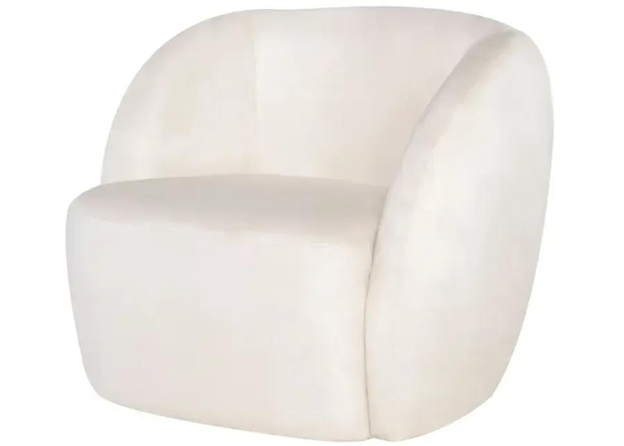 SELMA OCCASIONAL CHAIR