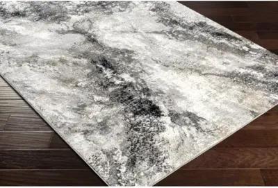 Allegro 5'3" x 7' Rug