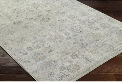 Alpharetta APH-2320 9'2" x 12' Machine Woven Rug