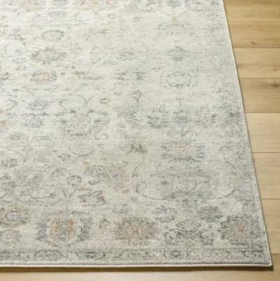 Alpharetta APH-2320 9'2" x 12' Machine Woven Rug