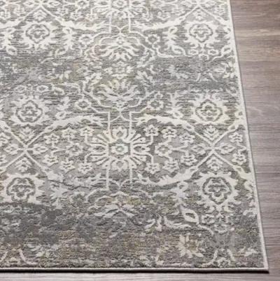 Norland 2'7" x 4' Rug