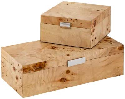 Caleb Box  -  Square Bleached Burl - Set of 2