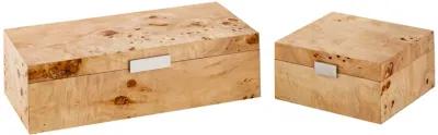 Caleb Box  -  Square Bleached Burl - Set of 2