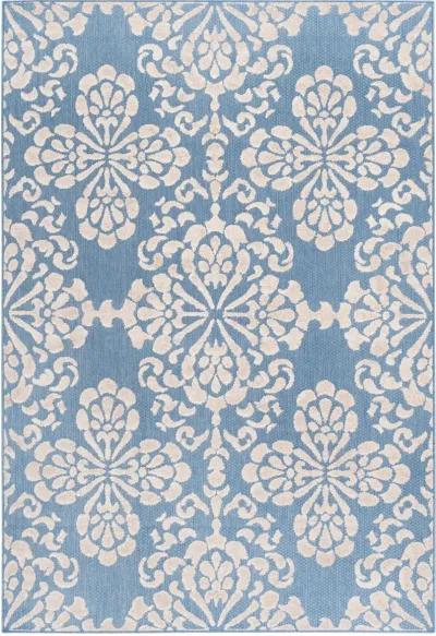 Cottage COT908F Light Blue / Beige Rug 