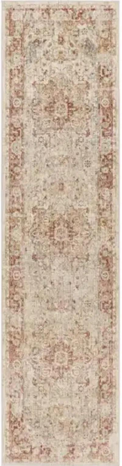 Aspendos APS-2308 2'7" x 7'3" Rug