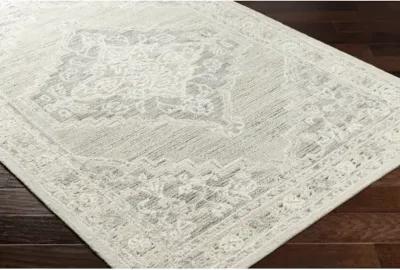 Addyson AYO-2303 9' x 12' Hand Made Rug