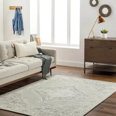 Addyson AYO-2303 9' x 12' Hand Made Rug