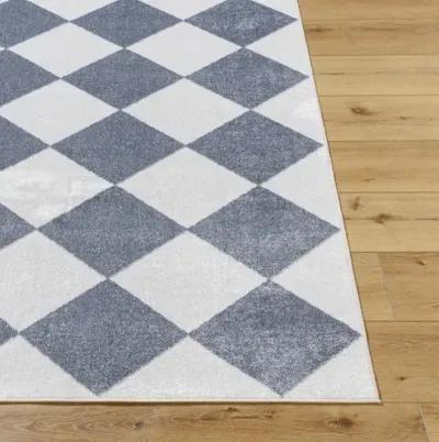 Lillian LLL-2372 2'7" x 7'3" Machine Woven Rug